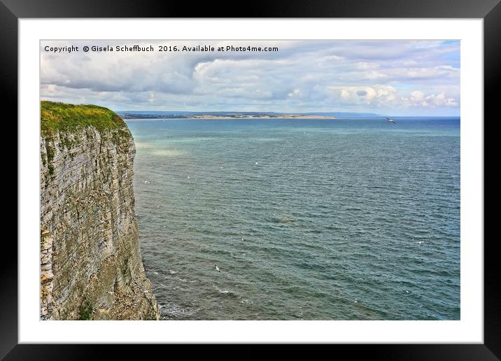 Bempton Cliffs Framed Mounted Print by Gisela Scheffbuch