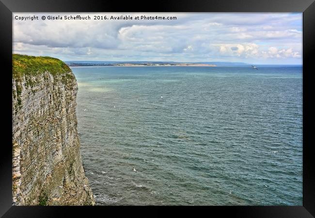 Bempton Cliffs Framed Print by Gisela Scheffbuch