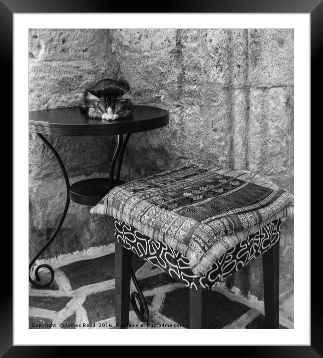 Cat, Lindos, Greece Framed Mounted Print by James Reed
