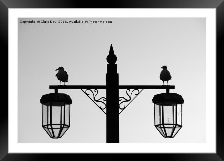 Gull Silhouette Framed Mounted Print by Chris Day