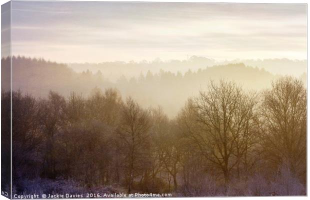 Misty Morning in the Forest Canvas Print by Jackie Davies