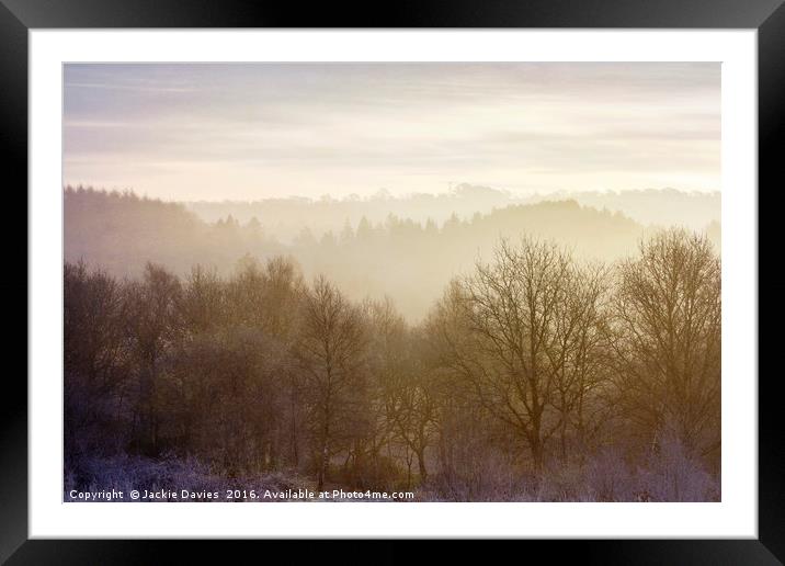 Misty Morning in the Forest Framed Mounted Print by Jackie Davies
