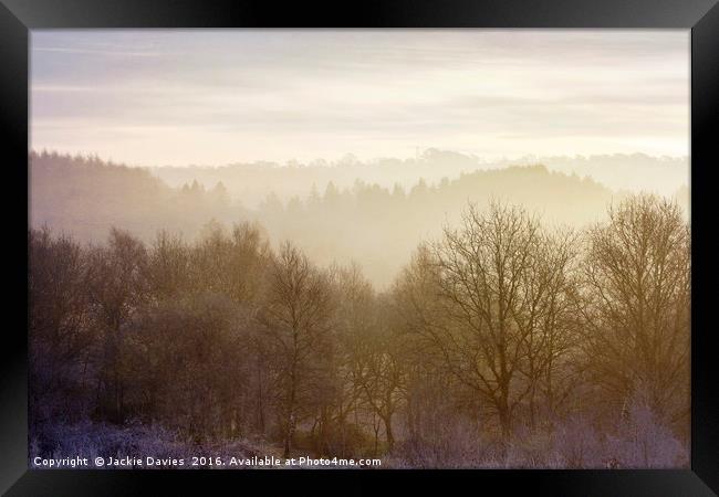 Misty Morning in the Forest Framed Print by Jackie Davies