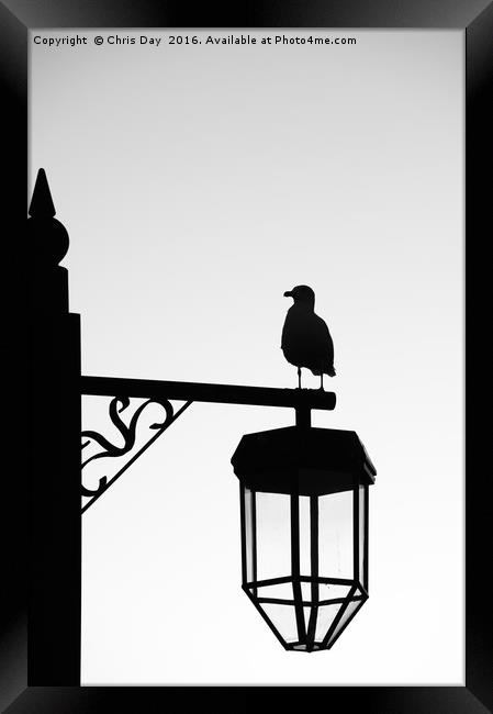 Gull Silhouette Framed Print by Chris Day