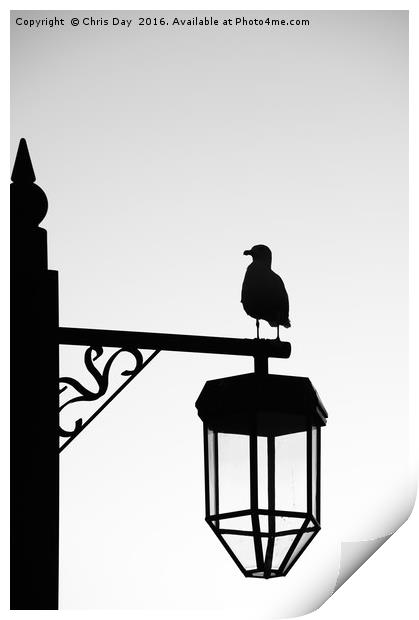 Gull Silhouette Print by Chris Day