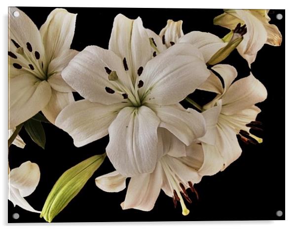 Lilies Acrylic by Henry Horton