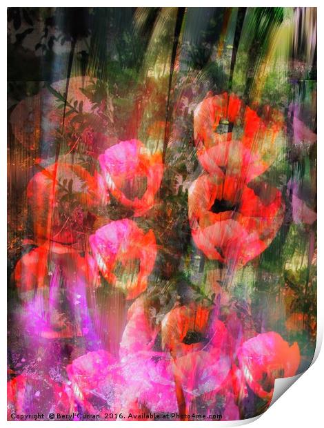 Blossoming Freedom Print by Beryl Curran