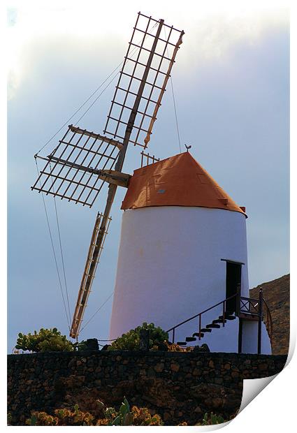 Windmill at Guatiza Print by Catherine Fowler