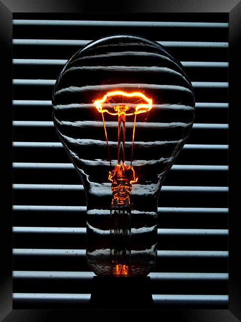 Orange Bulb Framed Print by Rob Hawkins