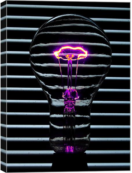Light Bulb purple Canvas Print by Rob Hawkins