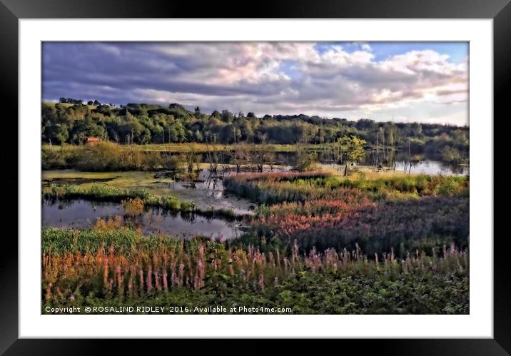 "GOLDEN HOUR OVER THE LAKE" Framed Mounted Print by ROS RIDLEY