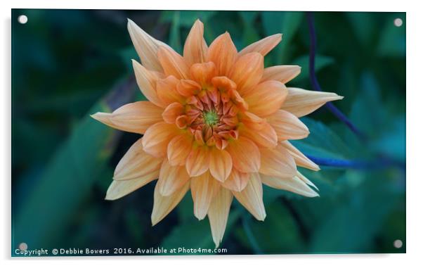 Peach Dahlia Acrylic by Lady Debra Bowers L.R.P.S