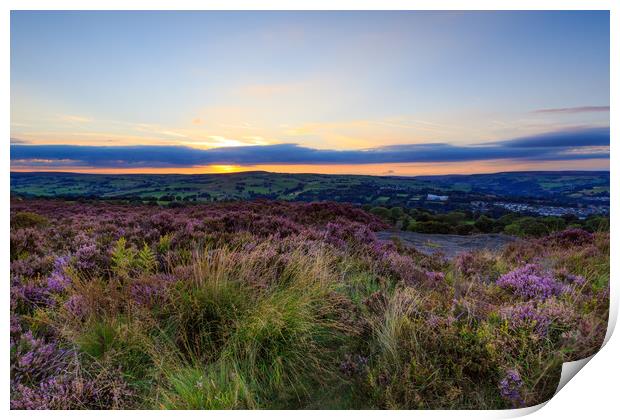Heather sunset  Print by chris smith