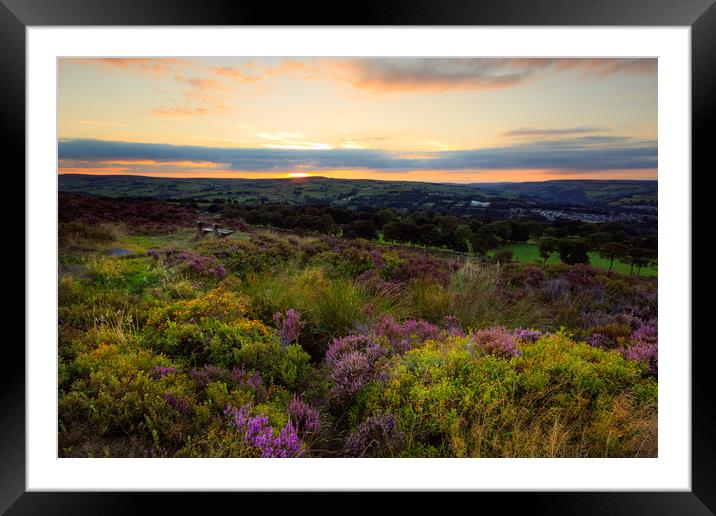 Heather in sunset  Framed Mounted Print by chris smith