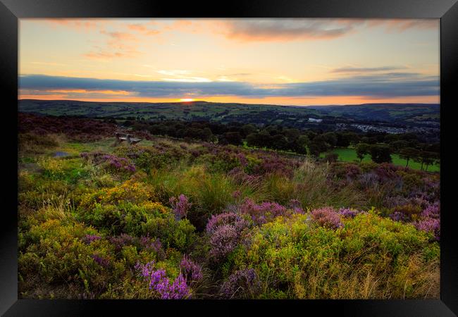 Heather in sunset  Framed Print by chris smith