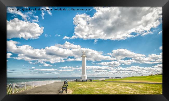 Cilff Park,  Seaburn Framed Print by andrew blakey