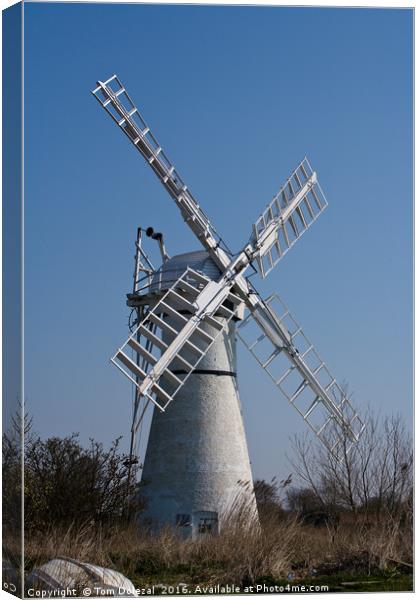 A windmill on the Norfolk Broads Canvas Print by Tom Dolezal