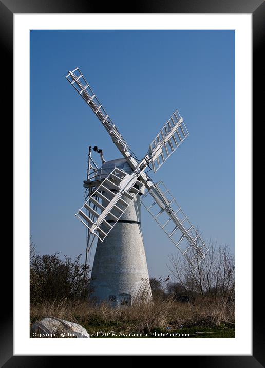 A windmill on the Norfolk Broads Framed Mounted Print by Tom Dolezal