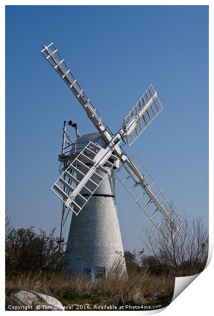 A windmill on the Norfolk Broads Print by Tom Dolezal