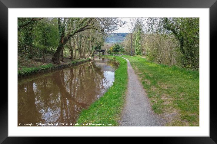 Reflections on a canal walk Framed Mounted Print by Tom Dolezal
