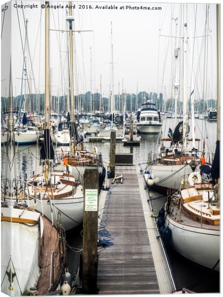 The Yachts. Canvas Print by Angela Aird