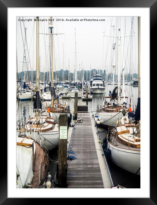 The Yachts. Framed Mounted Print by Angela Aird