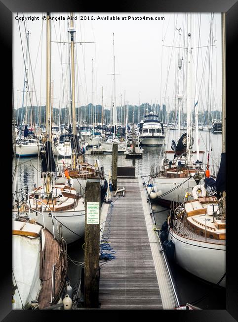 The Yachts. Framed Print by Angela Aird