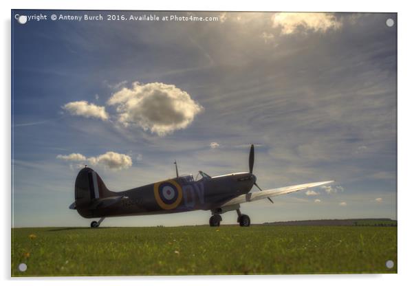 Sunlight Spitfire Acrylic by Antony Burch