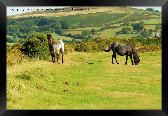 MOTHER AND SON Framed Print by andrew saxton