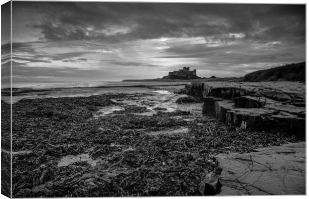 Bamburgh Castle, Northumberland Canvas Print by James Reed