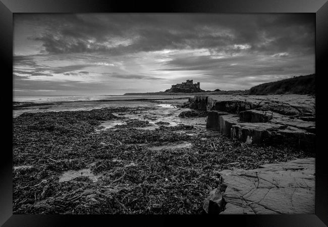 Bamburgh Castle, Northumberland Framed Print by James Reed