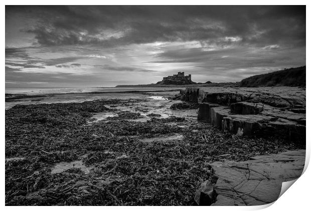 Bamburgh Castle, Northumberland Print by James Reed