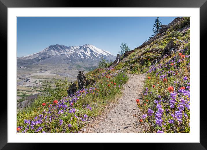 Mount St Helens  Framed Mounted Print by Bob Small