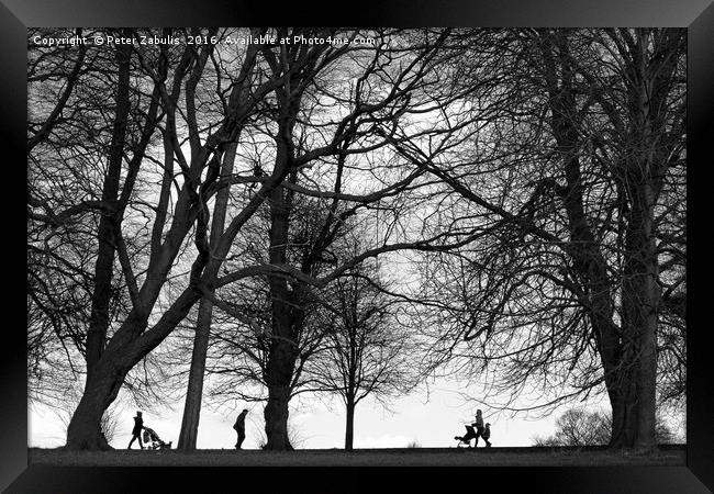 Walking in the park Framed Print by Peter Zabulis