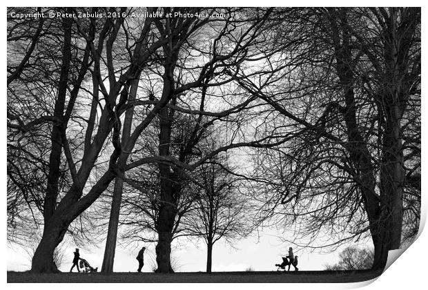 Walking in the park Print by Peter Zabulis