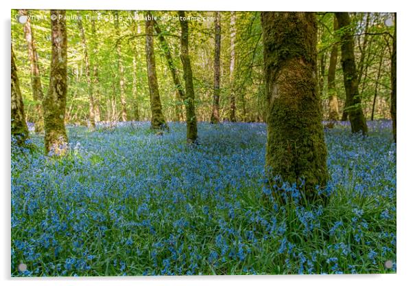 Bluebell Wood Acrylic by Pauline Tims