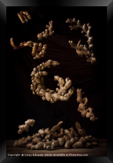 Floating ginger roots Framed Print by Corey Edwards