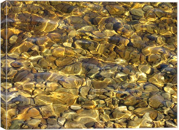 Pebbles in Water Canvas Print by Jacqi Elmslie