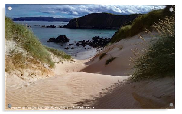 Highland sea view Acrylic by Tom Dolezal