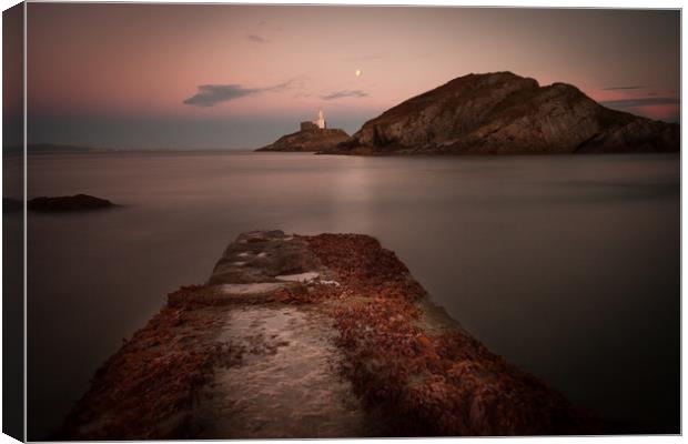 Mumbles lighthouse at night Canvas Print by Leighton Collins