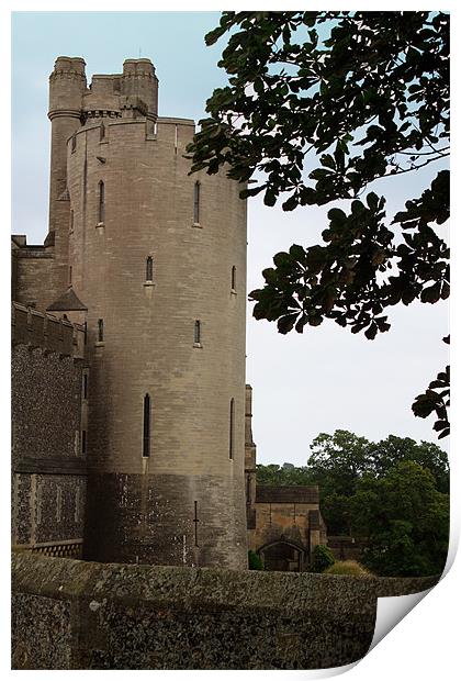 Arundel Castle Print by Ian Jeffrey