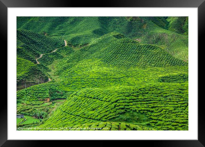 Cameron Highlands Framed Mounted Print by Perry Johnson