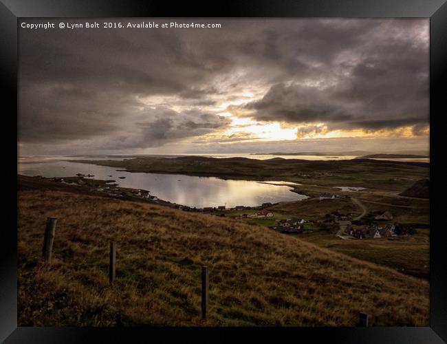 Shetland  Framed Print by Lynn Bolt