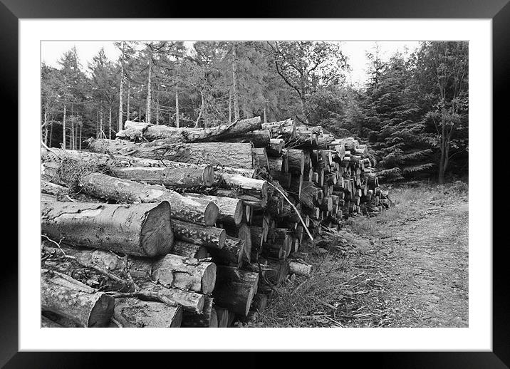 Log Pile Framed Mounted Print by Steve Ward