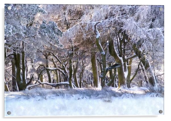 Peak District woodland in winter Acrylic by geoff shoults