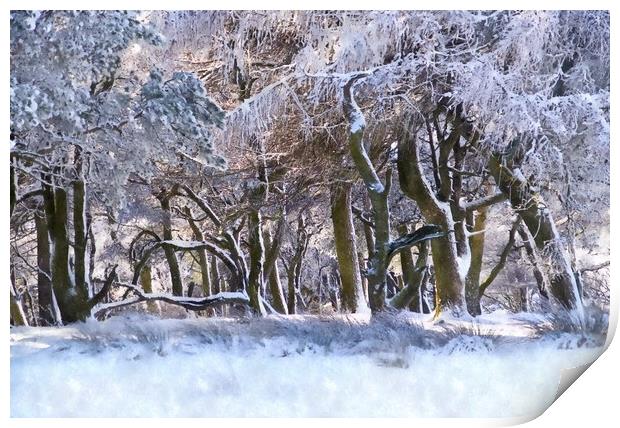 Peak District woodland in winter Print by geoff shoults