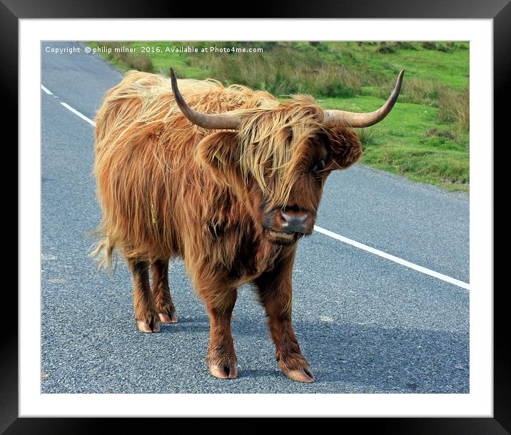 Dartmoor Resident Framed Mounted Print by philip milner