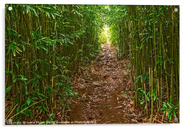 The magical bamboo forest of Maui  Acrylic by Jamie Pham