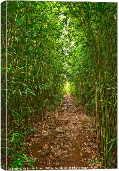 The magical bamboo forest of Maui  Canvas Print by Jamie Pham