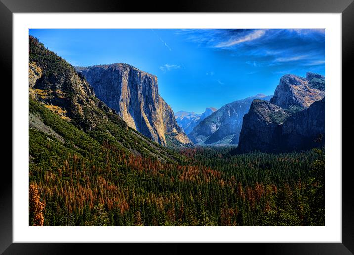 Yosemite National Park California Framed Mounted Print by Ann McGrath